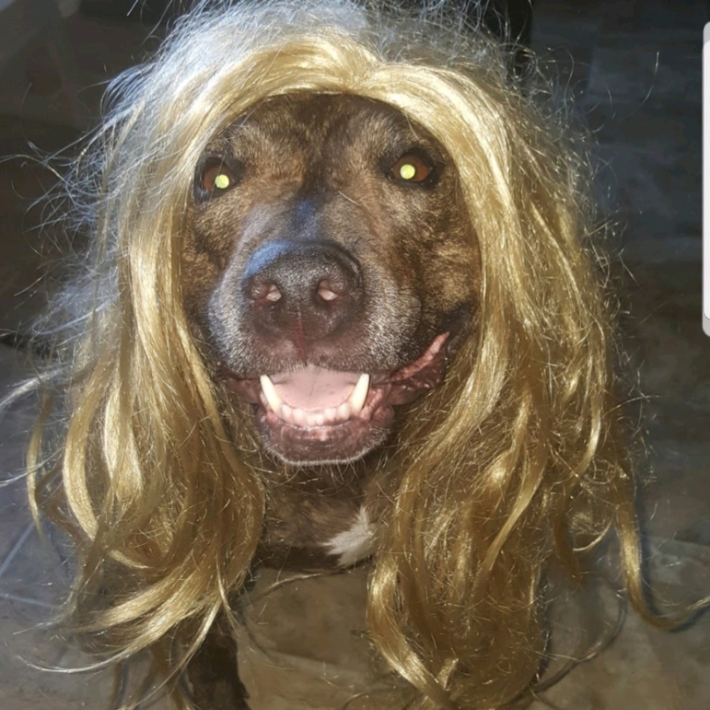 Meet your Posher, Nici